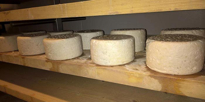 Vente de fromage de chèvre à Évreux
